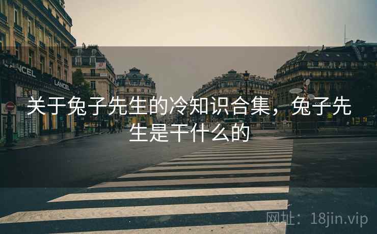 关于兔子先生的冷知识合集，兔子先生是干什么的