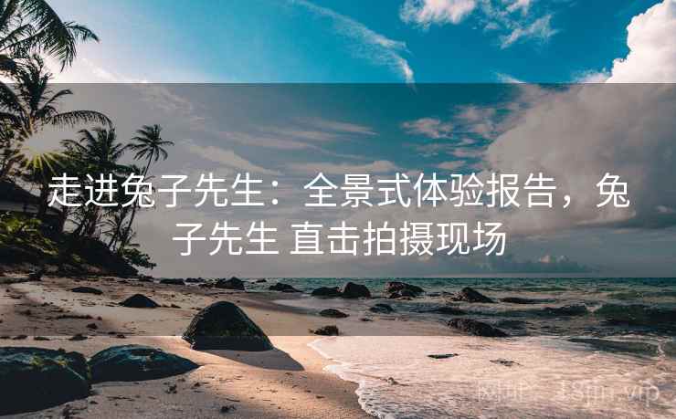 走进兔子先生：全景式体验报告，兔子先生 直击拍摄现场