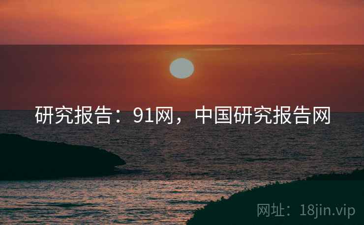 研究报告：91网，中国研究报告网
