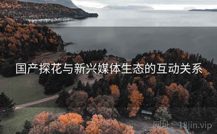 国产探花与新兴媒体生态的互动关系