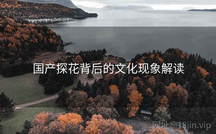 国产探花背后的文化现象解读