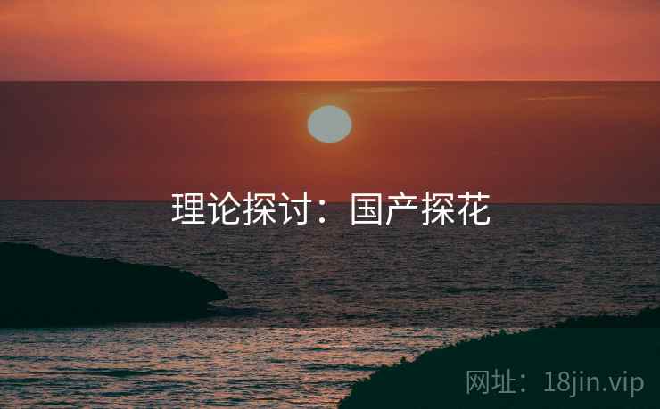 理论探讨：国产探花