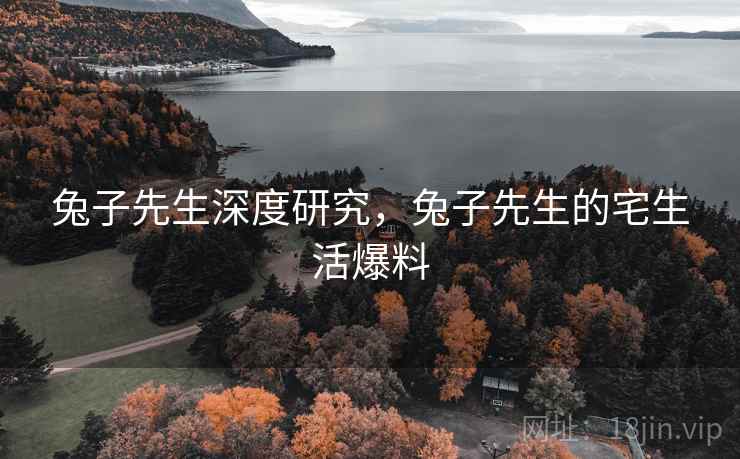 兔子先生深度研究，兔子先生的宅生活爆料