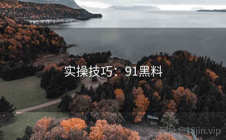 实操技巧：91黑料