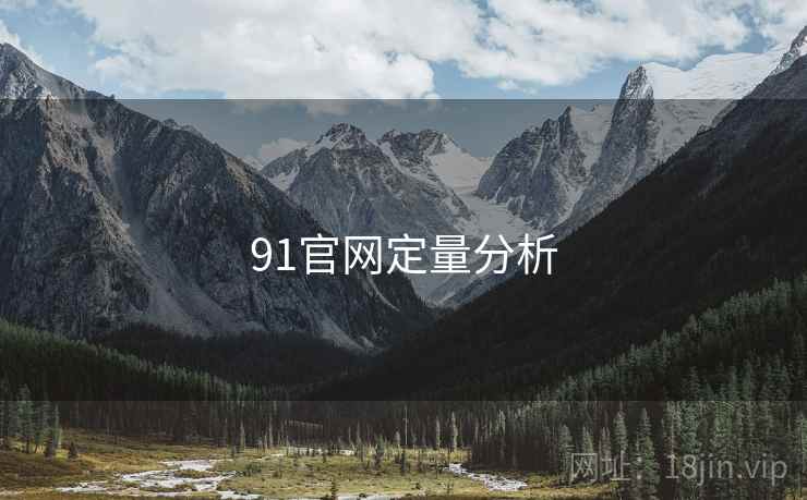 91官网定量分析