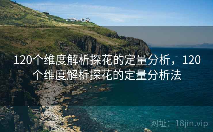 120个维度解析探花的定量分析，120个维度解析探花的定量分析法