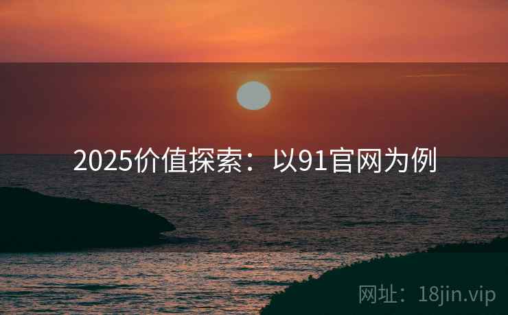 2025价值探索：以91官网为例
