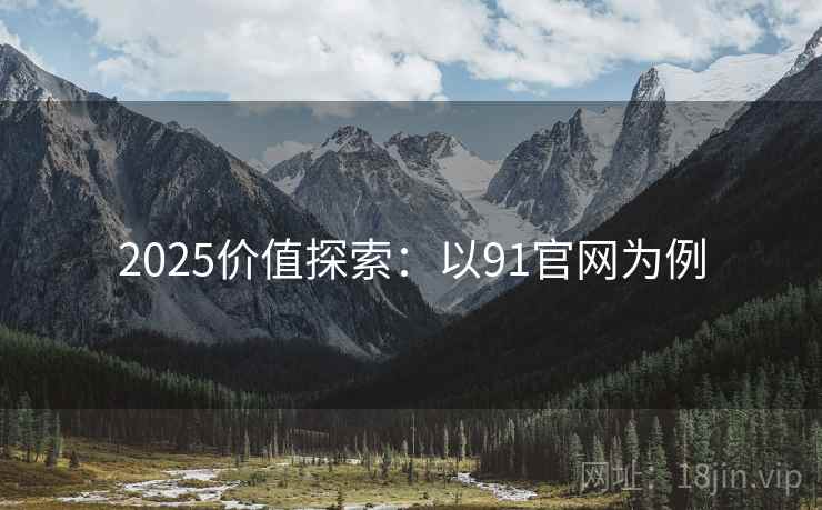 2025价值探索：以91官网为例