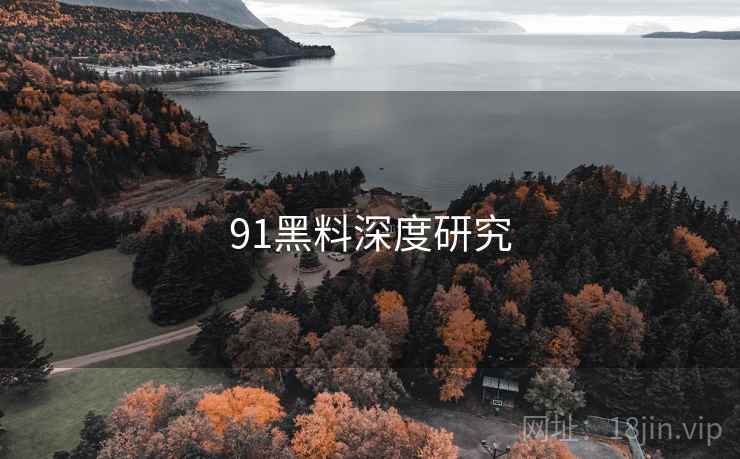91黑料深度研究
