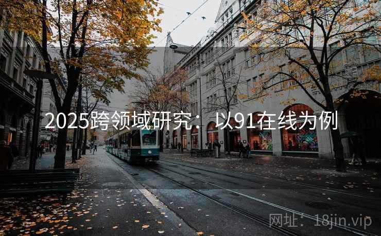 2025跨领域研究：以91在线为例