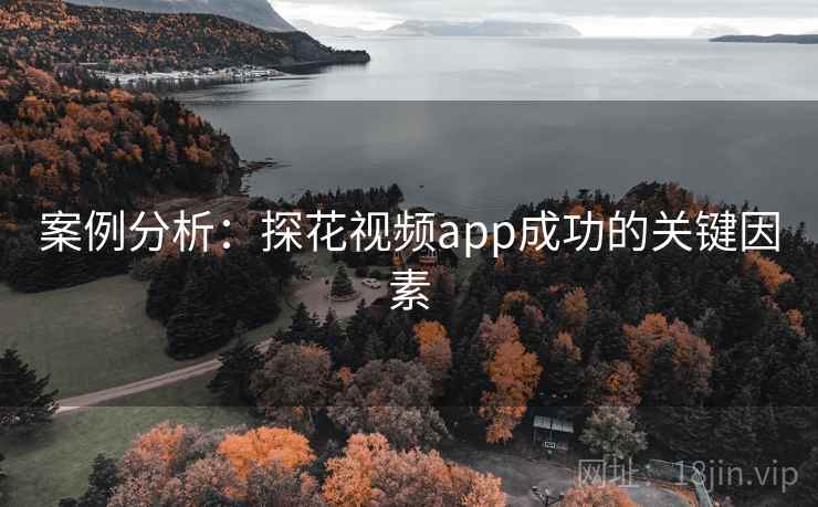 案例分析：探花视频app成功的关键因素