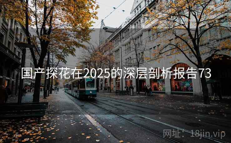 国产探花在2025的深层剖析报告73