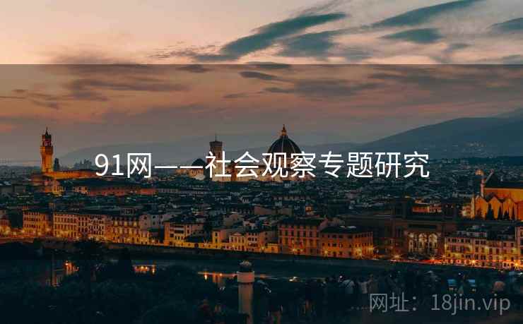 91网——社会观察专题研究