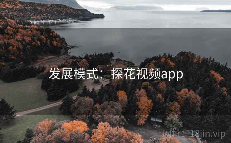 发展模式：探花视频app