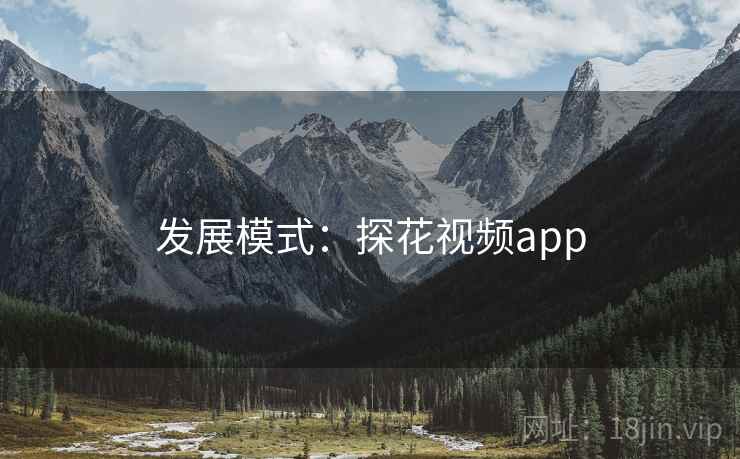 发展模式：探花视频app