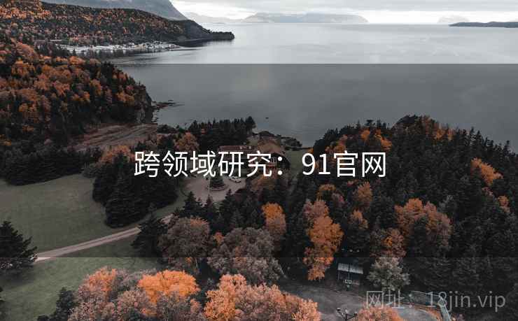 跨领域研究：91官网