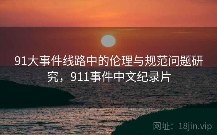91大事件线路中的伦理与规范问题研究，911事件中文纪录片