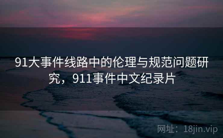 91大事件线路中的伦理与规范问题研究，911事件中文纪录片