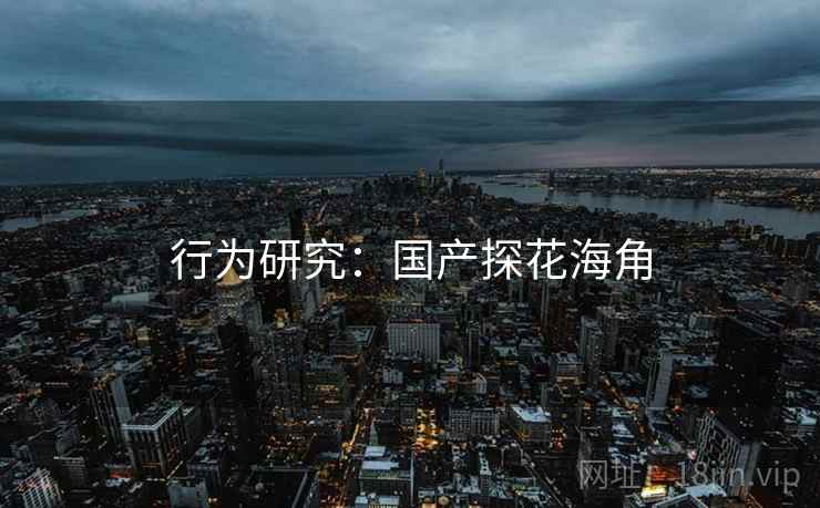 行为研究：国产探花海角
