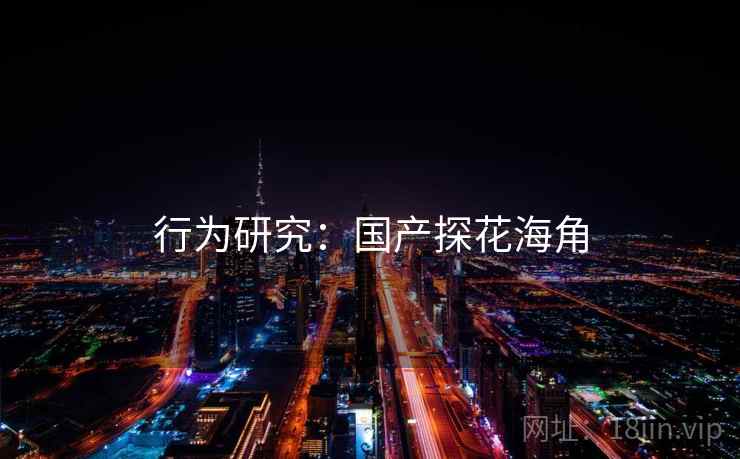 行为研究：国产探花海角