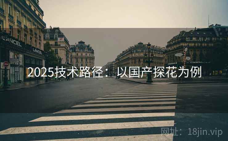 2025技术路径：以国产探花为例