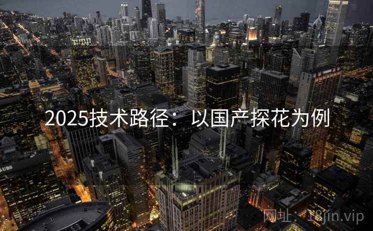 2025技术路径：以国产探花为例