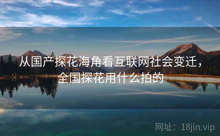 从国产探花海角看互联网社会变迁，全国探花用什么拍的