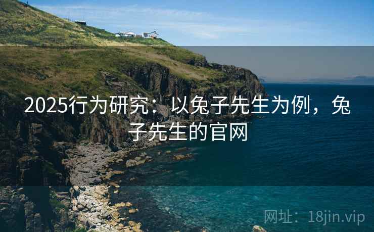 2025行为研究：以兔子先生为例，兔子先生的官网