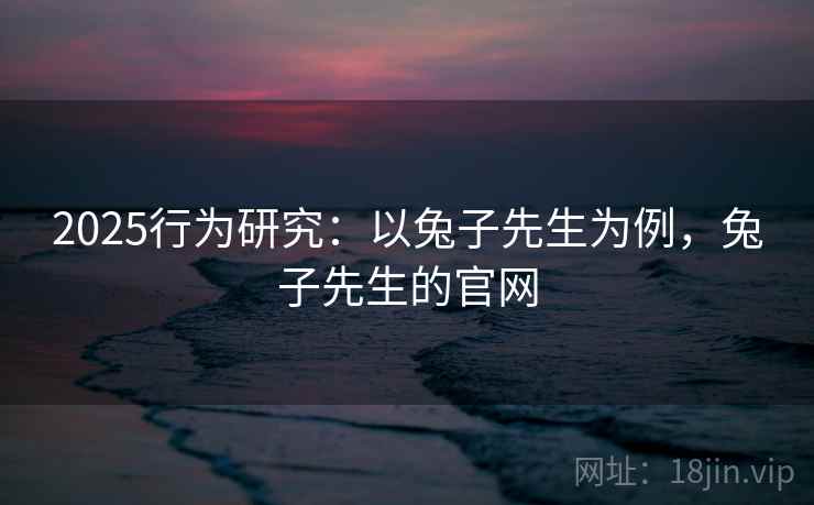 2025行为研究：以兔子先生为例，兔子先生的官网