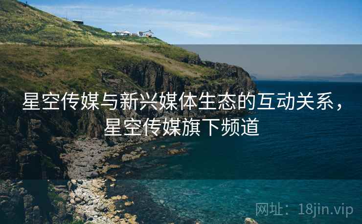 星空传媒与新兴媒体生态的互动关系，星空传媒旗下频道