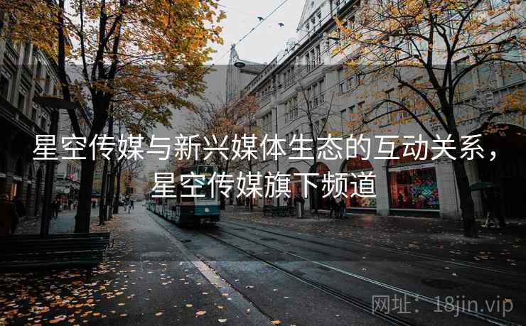 星空传媒与新兴媒体生态的互动关系，星空传媒旗下频道