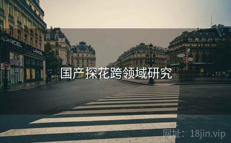 国产探花跨领域研究