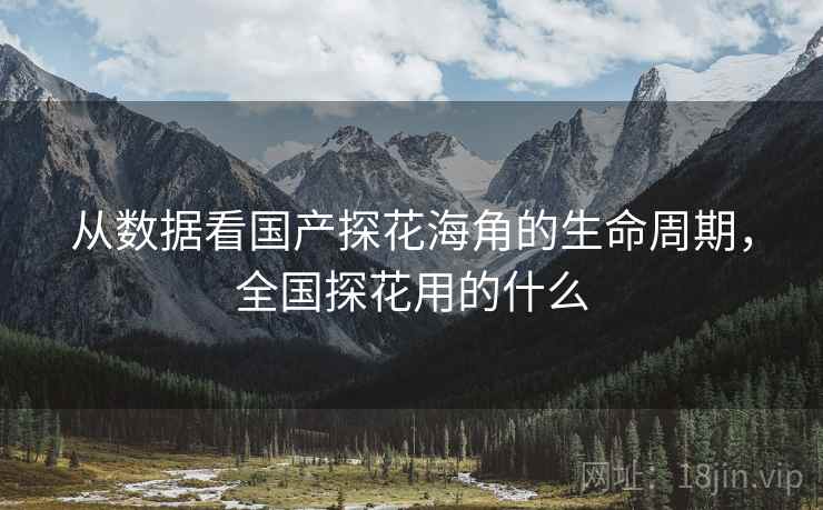 从数据看国产探花海角的生命周期，全国探花用的什么
