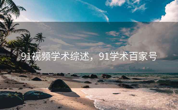 91视频学术综述，91学术百家号