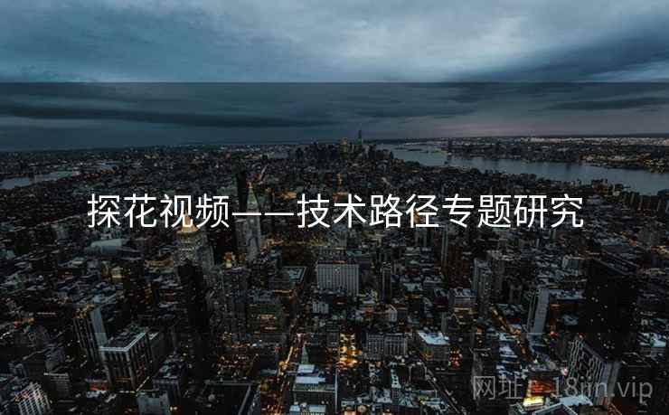 探花视频——技术路径专题研究
