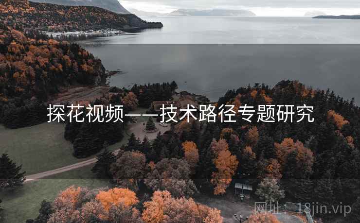 探花视频——技术路径专题研究