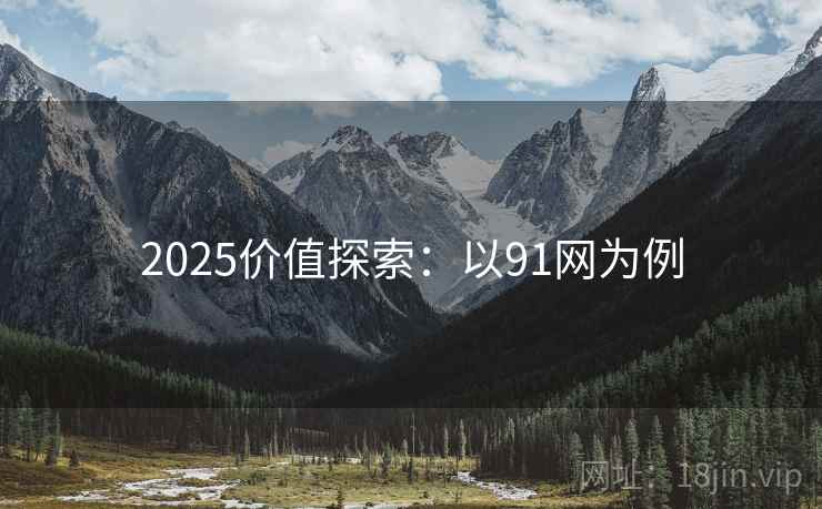 2025价值探索：以91网为例