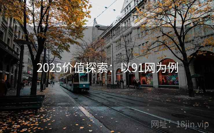 2025价值探索：以91网为例