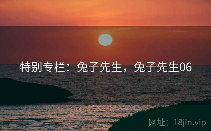 特别专栏：兔子先生，兔子先生06