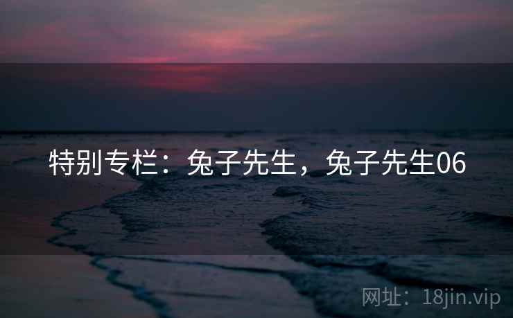 特别专栏：兔子先生，兔子先生06