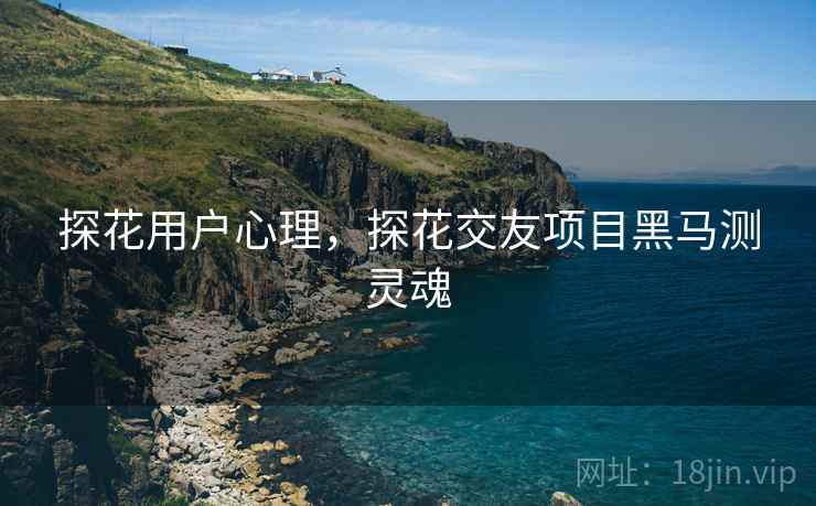 探花用户心理，探花交友项目黑马测灵魂