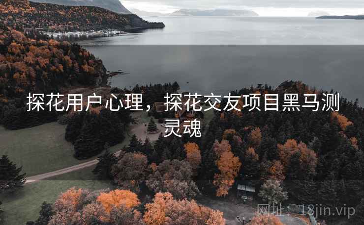 探花用户心理，探花交友项目黑马测灵魂