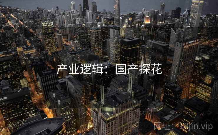 产业逻辑：国产探花