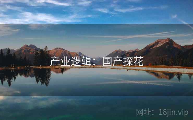 产业逻辑：国产探花