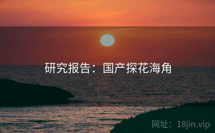 研究报告：国产探花海角