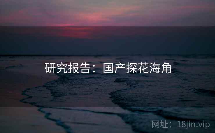 研究报告：国产探花海角