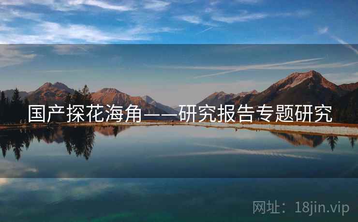 国产探花海角——研究报告专题研究