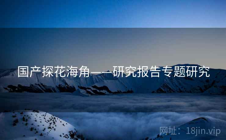 国产探花海角——研究报告专题研究