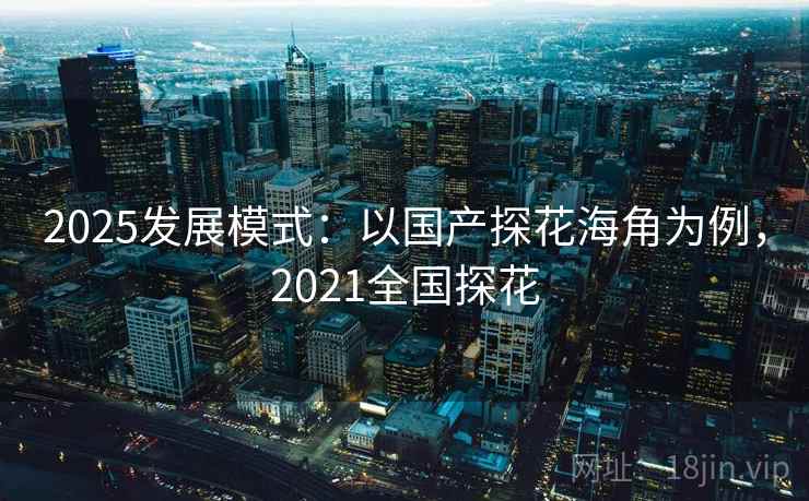 2025发展模式：以国产探花海角为例，2021全国探花