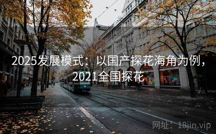 2025发展模式：以国产探花海角为例，2021全国探花